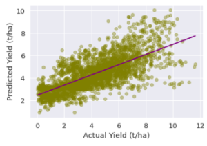 Prediction of yield in wheat farms vs. true yield using neural net model