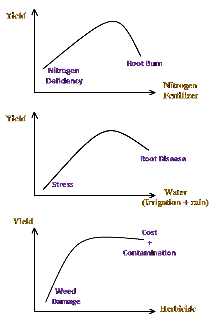 Effect of different amounts of nitrogen, water, and herbicide on yield