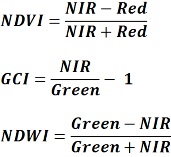 NDVI, GCI, NDWI indexes