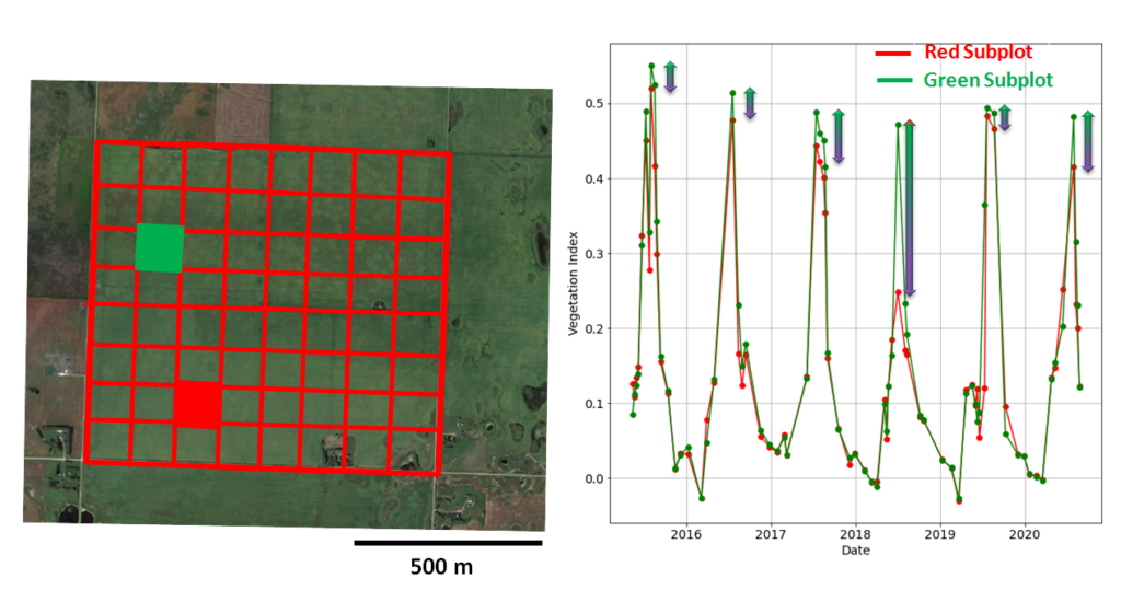 NDVI for diferent sub-plots of the farm