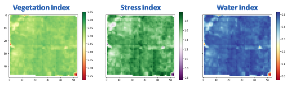 NDVI or vegetation index, GCI or stress index, and NDWI or water index in early August, 2015