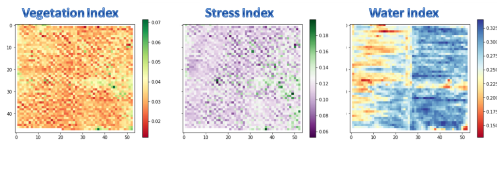 NDVI or vegetation index, GCI or stress index, and NDWI or water index in early December, 2015