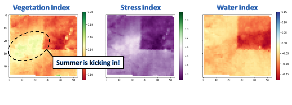 NDVI or vegetation index, GCI or stress index, and NDWI or water index in the end of May, 2015