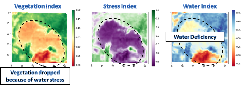 NDVI or vegetation index, GCI or stress index, and NDWI or water index in late July, 2015