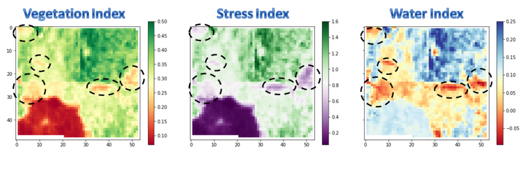 NDVI or vegetation index, GCI or stress index, and NDWI or water index in late june, 2015