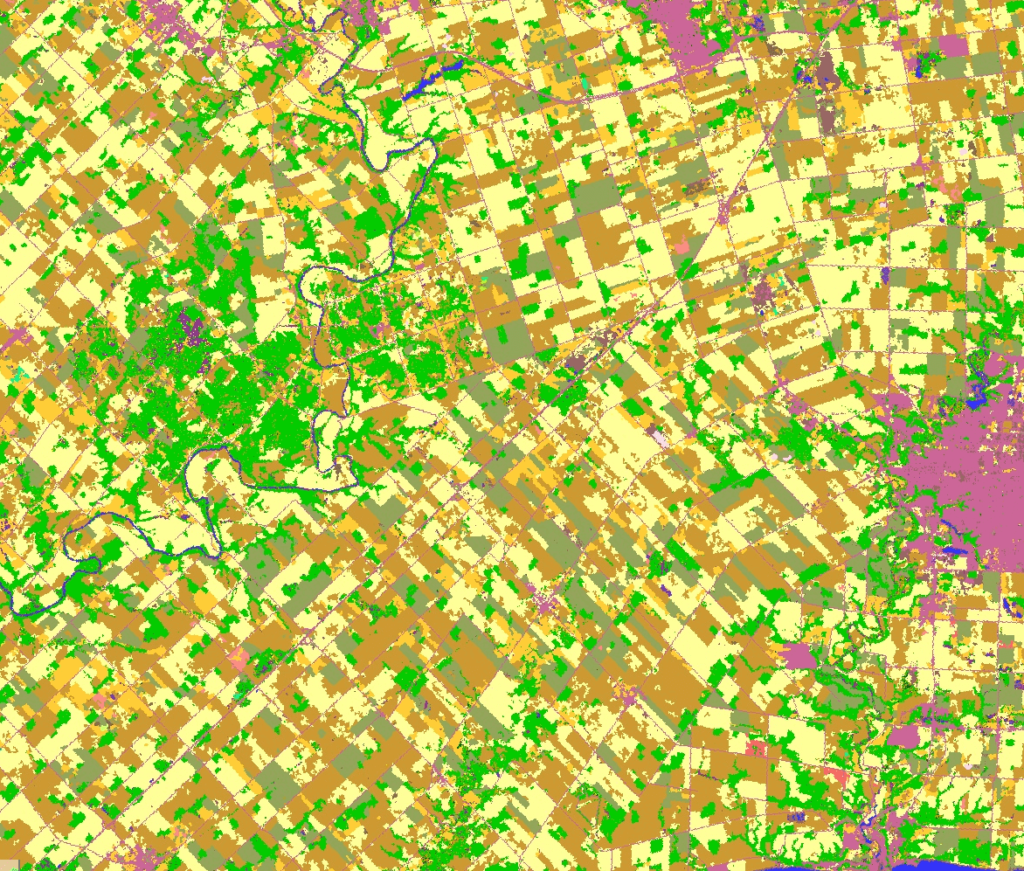 crop classification map using satellite imageries and AI