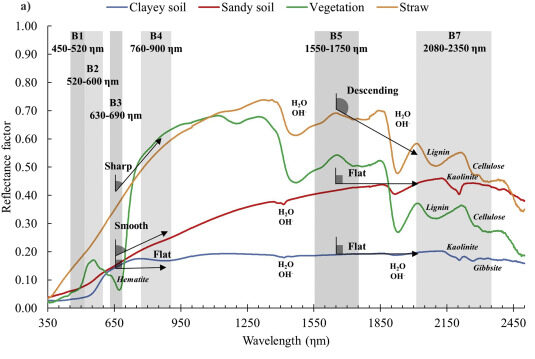 This graph shows Standard reflectance spectra patterns for straw, vegetation, clayey and sandy soils.