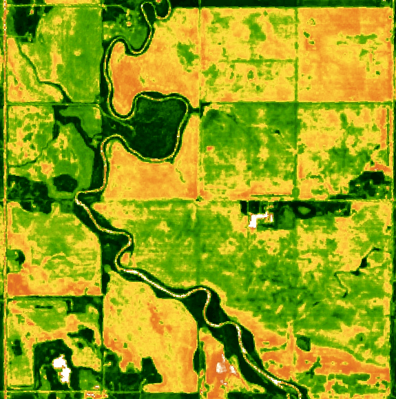 Monitoring Regenerative Agriculture by Satellite Imagery and AI