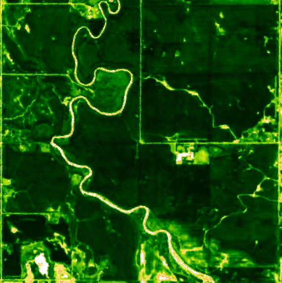 This picture shows Pasture re-growth period in late Aug 2022; South of Alberta, Canada